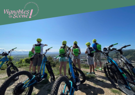 All-terrain electric scooter ride through the vineyards - Terre de Syrah