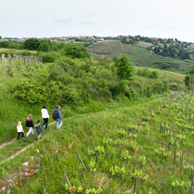 © Hiking between the Rhône and the vineyards: Tupin, Condrieu, Semons_Tupin-et-Semons - <em>Instapades Studio</em>