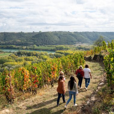 © Vineyard path in Ampuis_Ampuis - <em>Instapades Studio</em>