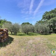 © Domaine de Chardiris - Les Romarins - <em>Gîtes de France</em>