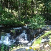 © Le Moulin de Charrier - <em>Félicie Avenas</em>