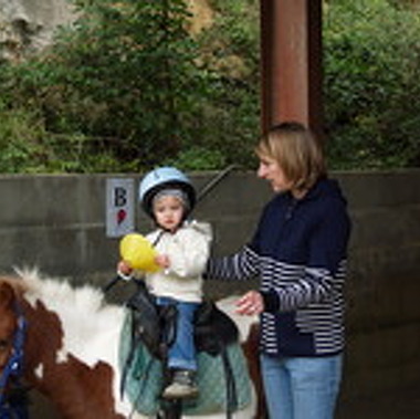 Haras du Petit Prince
