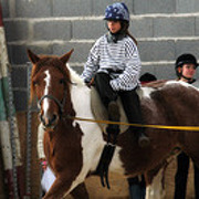 Haras du Petit Prince