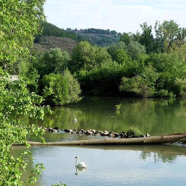 © Butter Island - <em>Centre d'observation de la nature de l'Île du Beurre</em>