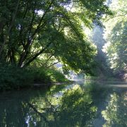 © Butter Island - <em>Centre d'observation de la nature de l'Île du Beurre</em>