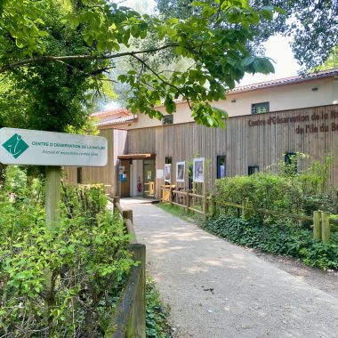 © Île du Beurre nature observation centre - <em>Centre d'observation de la nature de l'île du Beurre_Tupin-et-Semons</em>