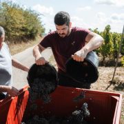 © Domaine Clusel-Roch - <em>DR</em>