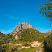 © Hôtel Les Arcades - Le Lion d'Or - <em>@CoralineDebray</em>