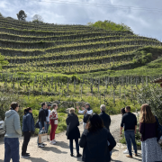 © Côte-Rôtie Hermitage Tour : Northern Rhône Valley with Rhône Trip - <em>DR Rhône Trip</em>