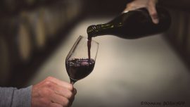 Tour and tasting at Domaine Burgaud