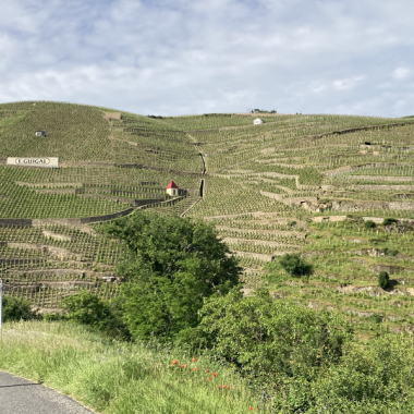 © Côte-Rôtie in all its glory, from the vineyards to the cellars with Mr. Probus - <em>Denis LARDIN</em>