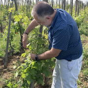 © Côte-Rôtie in all its glory, from the vineyards to the cellars with Mr. Probus - <em>Denis LARDIN</em>