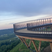 © Côte-Rôtie in all its glory, from the vineyards to the cellars with Mr. Probus - <em>Denis LARDIN</em>