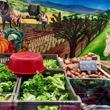 © Farmers' market - Place Carnot - <em>Copyright © 2018 Mihriban DONER</em>