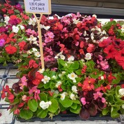 © Farmers' market - Place Carnot - <em>Copyright © 2018 M.D</em>