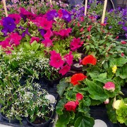 © Farmers' market - Place Carnot - <em>Copyright © 2018 M.D</em>