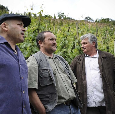 Les Vins de Vienne