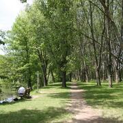 Picnic area of Ile Barlet