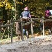 Club hippique viennois : Les Charmilles