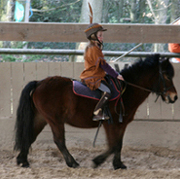 Club hippique viennois : Les Charmilles