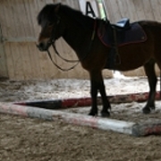 Club hippique viennois : Les Charmilles