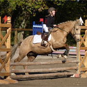 Club hippique viennois : Les Charmilles