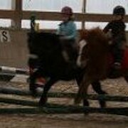 Club hippique viennois : Les Charmilles