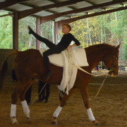 Poney Club Atout crin