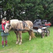 Poney Club Atout crin