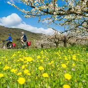 © ViaRhôna around Tournon - <em>Christian Martelet - Auvergne-Rhône-Alpes Tourisme</em>