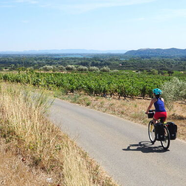 © EV17 - ViaRhôna stage 18 - Caderousse > Avignon - <em>France Vélo Tourisme</em>