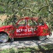 © 2CV O'live - <em>Karl Bonnet</em>