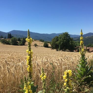 © Hike : Toissieu in the land of the hot air balloon - <em>©EmilieVerdier</em>