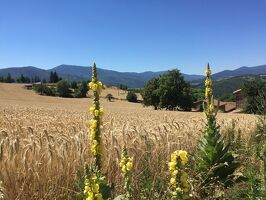 Hike : Toissieu in the land of the hot air balloon