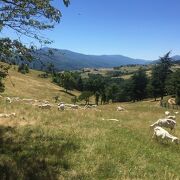 © Hike : Toissieu in the land of the hot air balloon - <em>©EmilieVerdier</em>