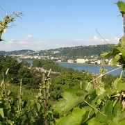 © Hiking between the Rhône and the vineyards: Tupin, Condrieu, Semons - <em>OT Vienne</em>