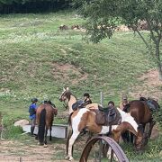 Gîte d'étape Ferme de Médille