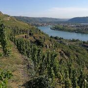 Wine estate François Villard