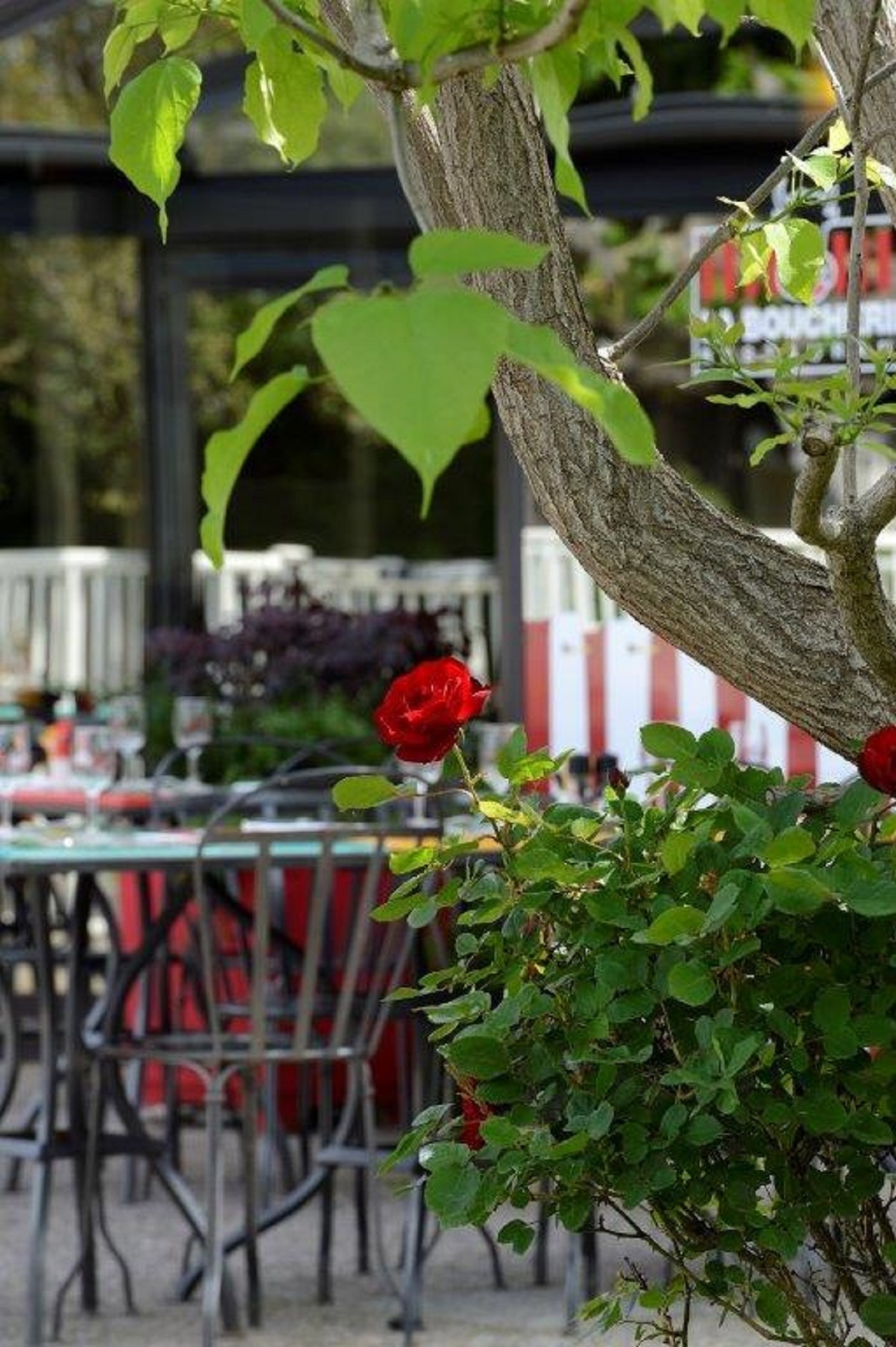 Restaurant l’EntreDeux Hôtel Ibis Styles Avignon Sud Vienne Condrieu Tourisme Restaurant l’EntreDeux Hôtel Ibis Styles Avignon Sud Vienne Condrieu Tourisme