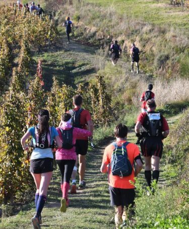 Trail en Côte-Rôtie