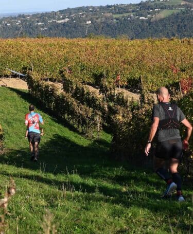 Traileurs dans les vignobles à l'automne