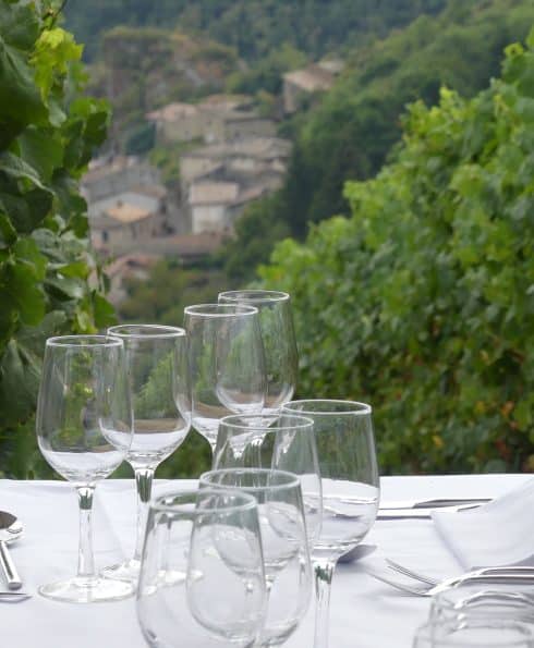 Table dressée devant les vignes