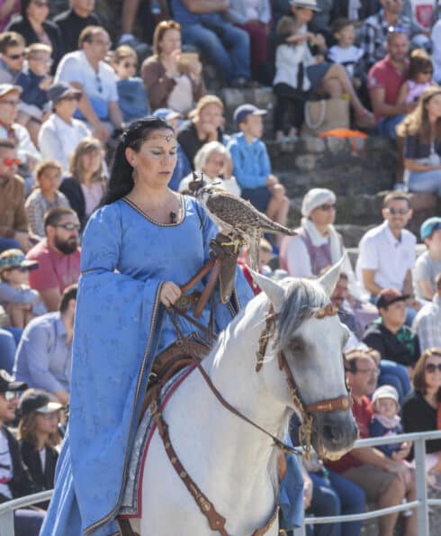 Fête Historique de Vienne