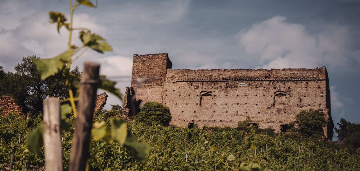 Château de Seyssuel, en ruines, au milieu des vignes 