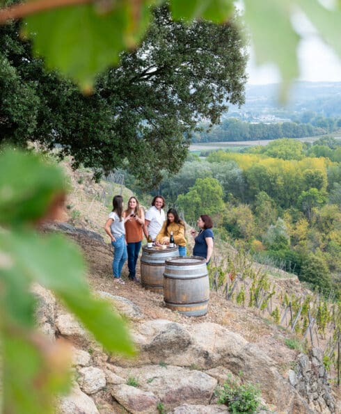 Groupe d'amis prenant l'apéritif sur des tonneaux devant un paysage de vignobles