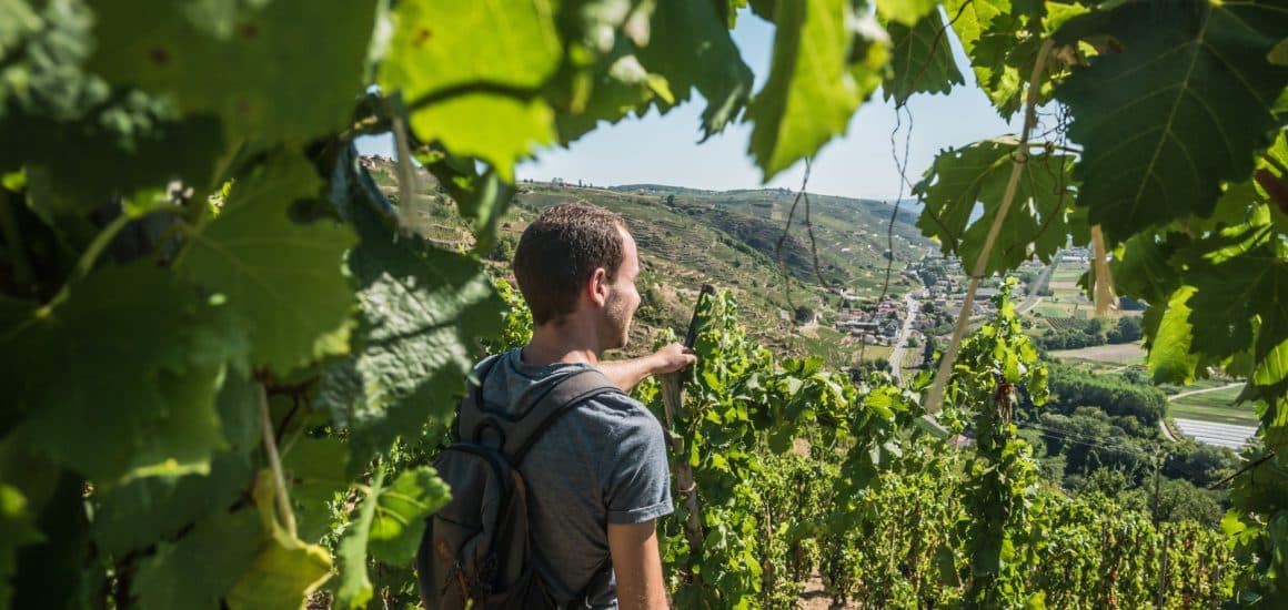 Shooting vignobles Tupins-et-Semons 08-2022 © Salomé Imboden (5) (1)