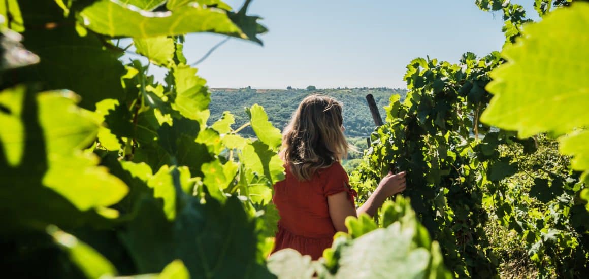 Shooting vignobles Tupins-et-Semons 08-2022 © Sylvain Dalman (16) (1)