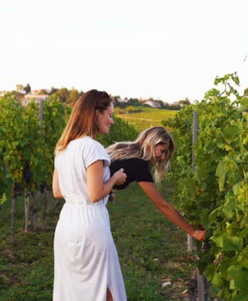 rhone trip